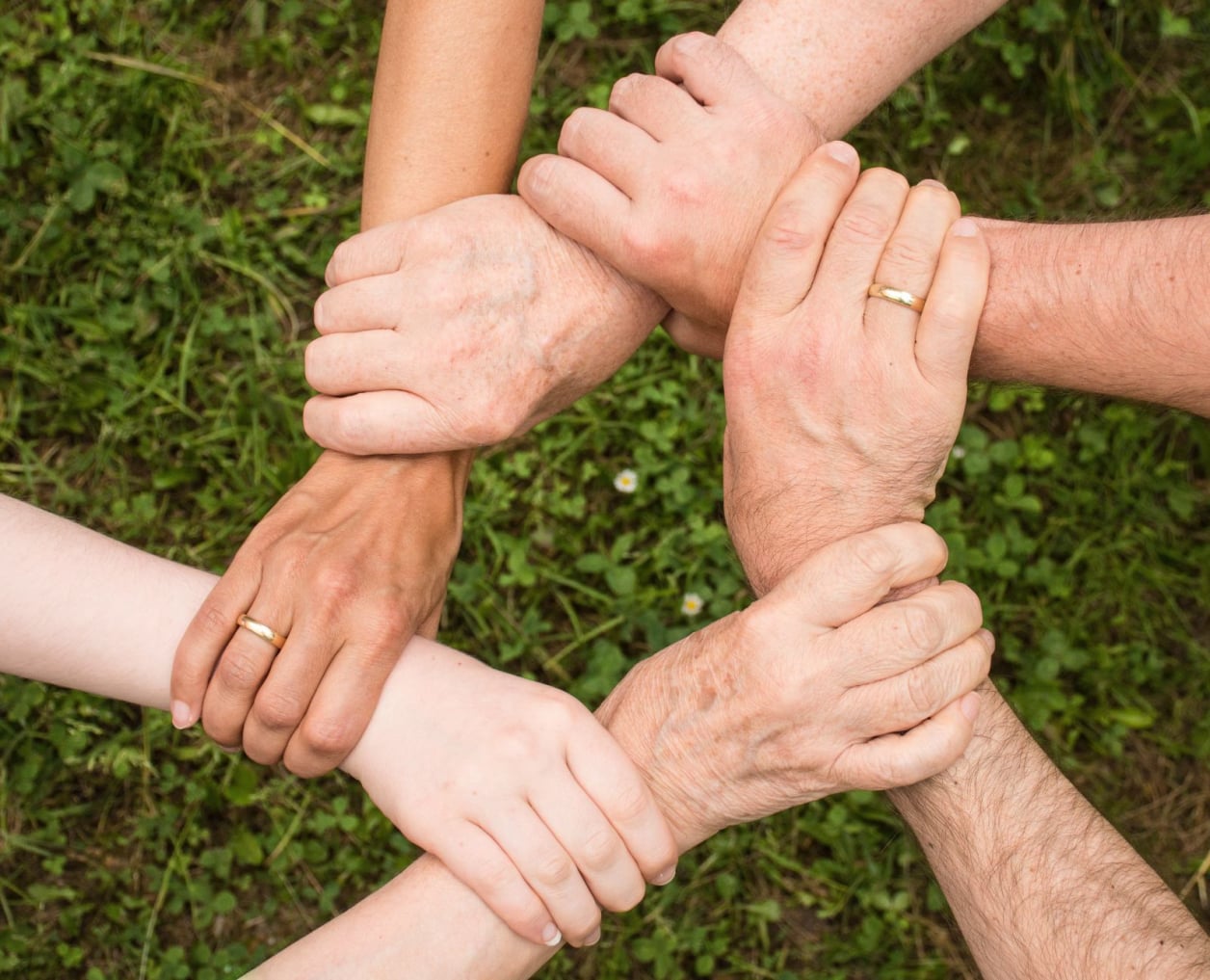 collabora